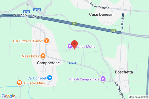 Quaia elvio (Arch.)