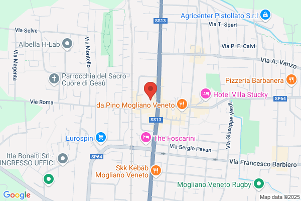 Servizi Treviso S.R.L.