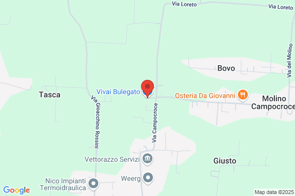 Vivai Bulegato Samuele