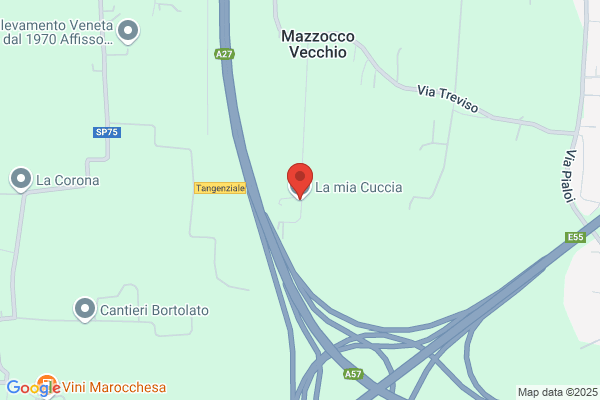 Pappa E Cuccia Di Paoli Massimo