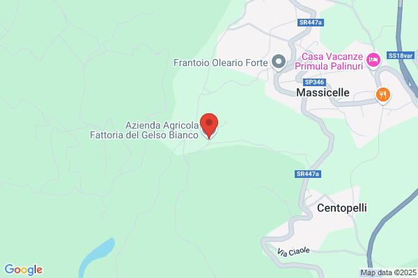 Ristorante Fattoria Del Gelso Bianco