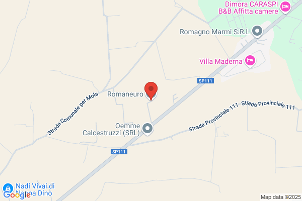 Romaneuro Srl