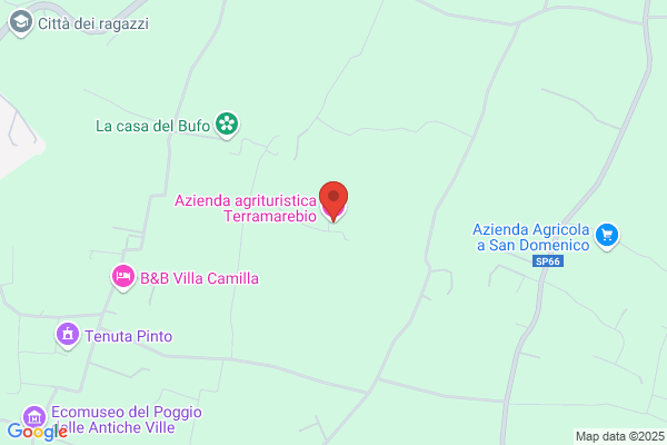 Tamborrino giuseppe