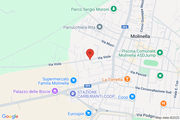 Immobil Service Srl