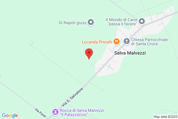 Maziwa (S.R.L.)