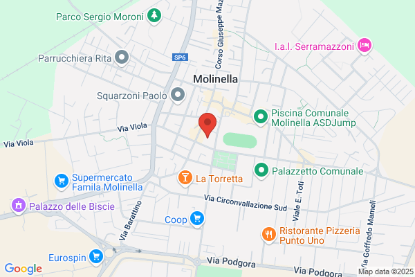 Istituto Professionale A.Fioravanti