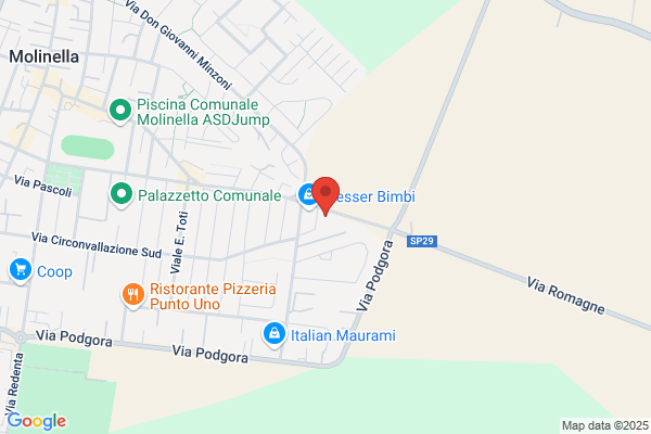 Gestione Servizi Gesser