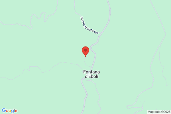 Fontana Dario (Ing.)