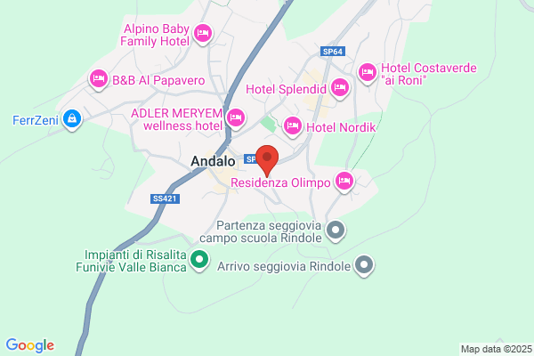 Sassdei Suite Hotel - Andalo