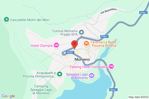 Hotel Stella Alpina - Molveno