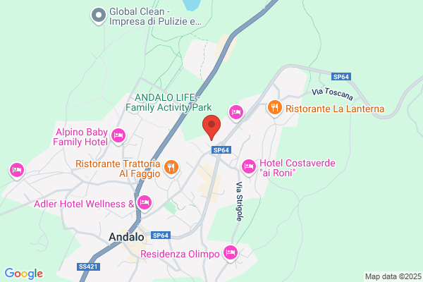 Hotel Alpen Andalo