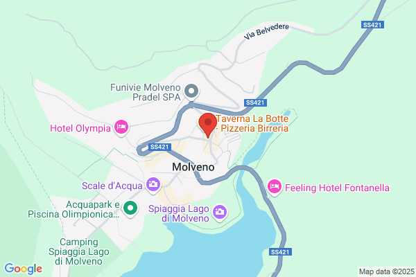 Molveno Iniziative Turistiche Soc.Coop.A.R.L.