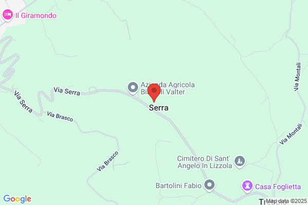 Geminiani Sauro & Figli