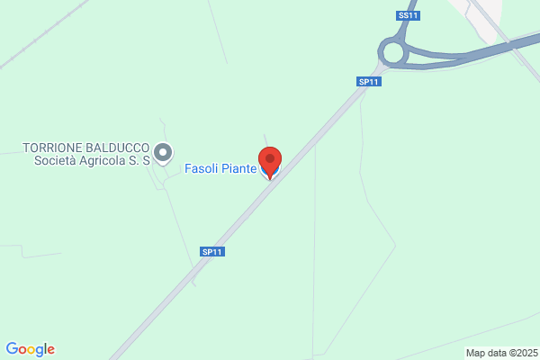Fasoli Piante S.N.C.
