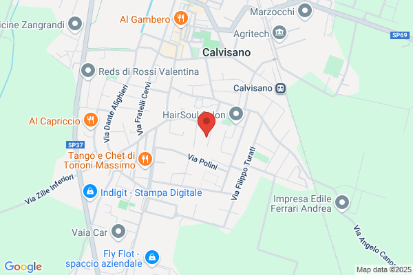 Turini elvio