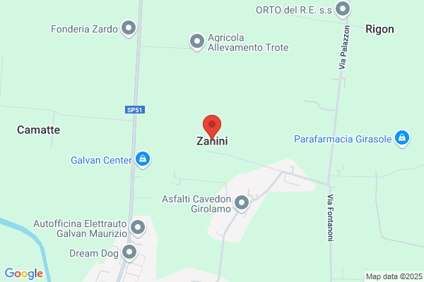 Zanini enzo