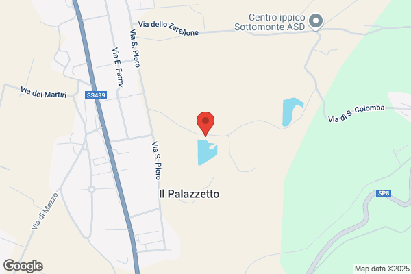 Ristorante Pizzeria Il Cigno Nero