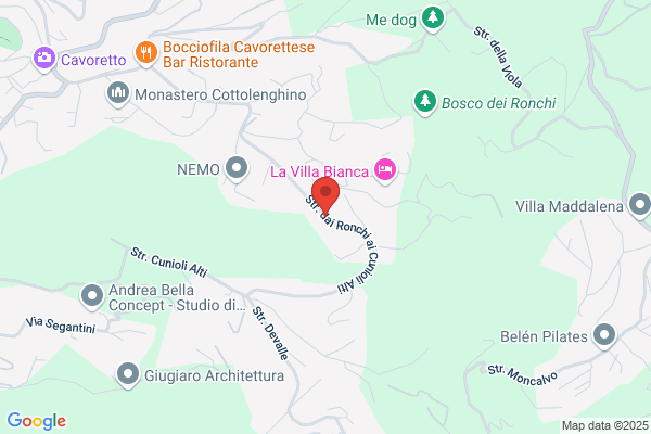 Pantano enzo