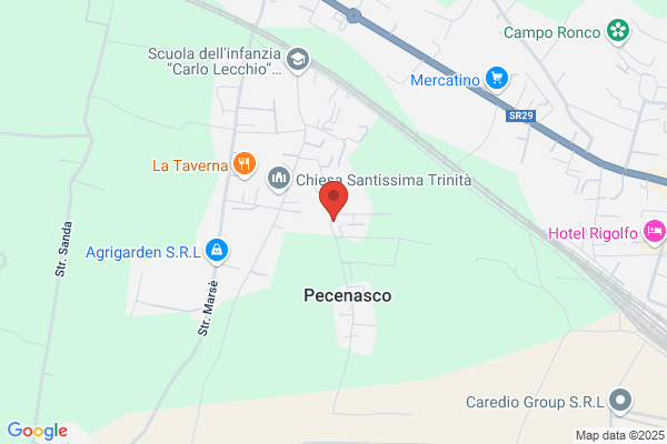 Pavese michelangelo