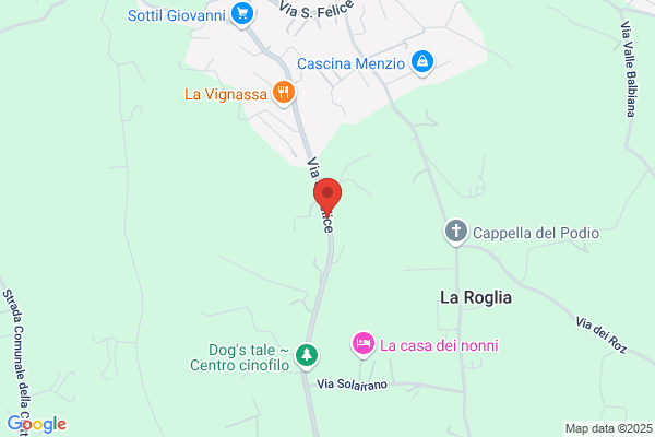 Farinetti Remigio