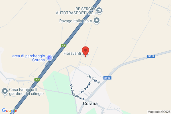 Fioravanti (S.R.L.)