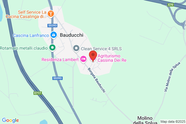 Tricerri