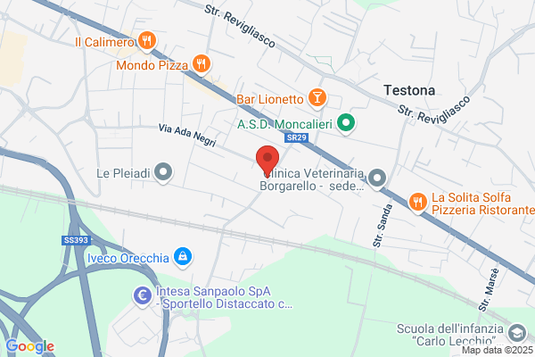 Rostagno piero (Geom.)