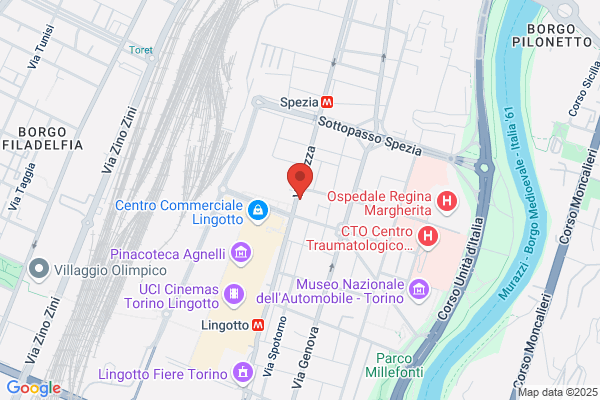 Pneus Lingotto