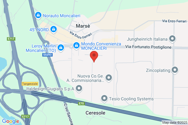 Industrie Borla (S.P.A.)