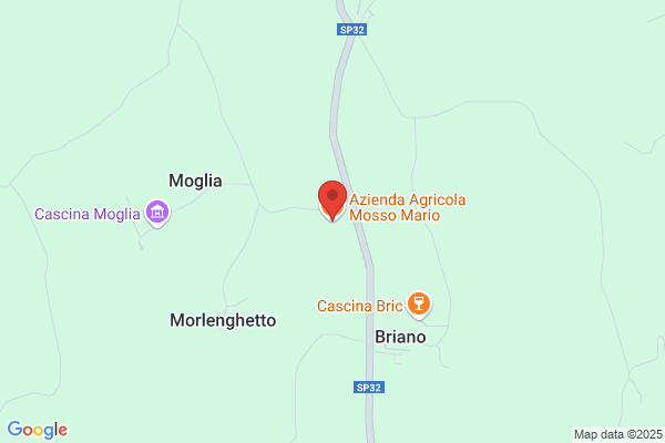 Moglia alessandro