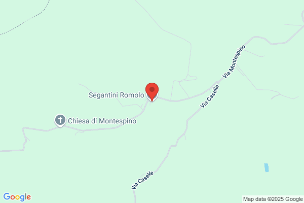 Segantini romolo