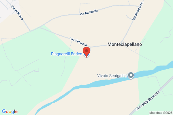 Piagnerelli Enrico