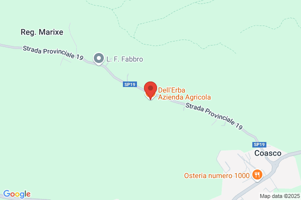 Dellerba Romano (Dr.)