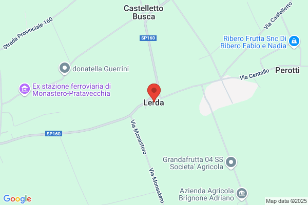 Lerda andrea