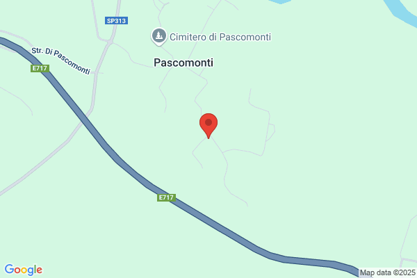 Passaretta gavio