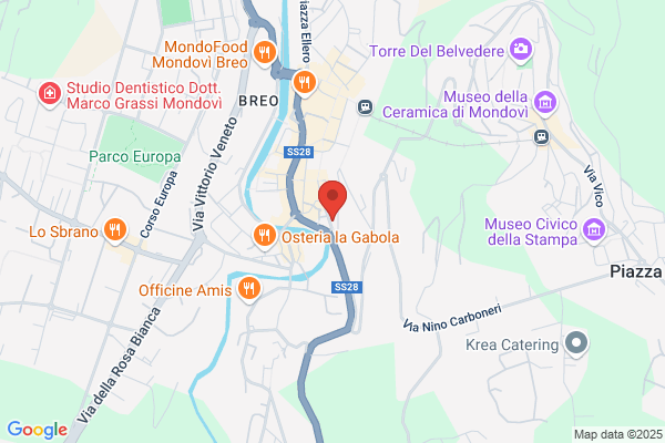 Trasporti Monregalesi Spa