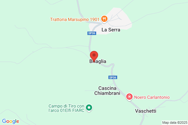 Badino Costruzioni Ponteggi
