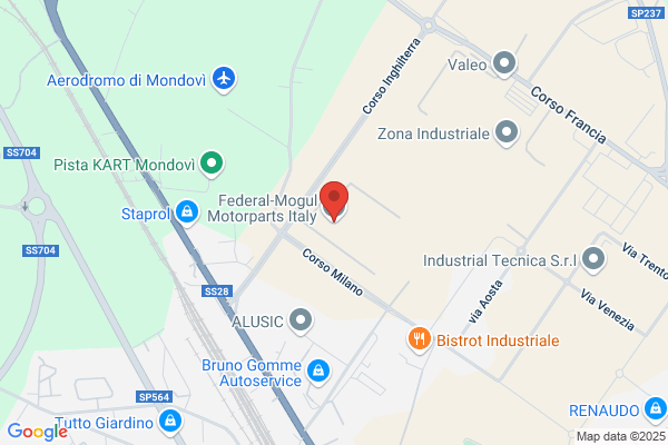 Federal-Mogul Holding Srl