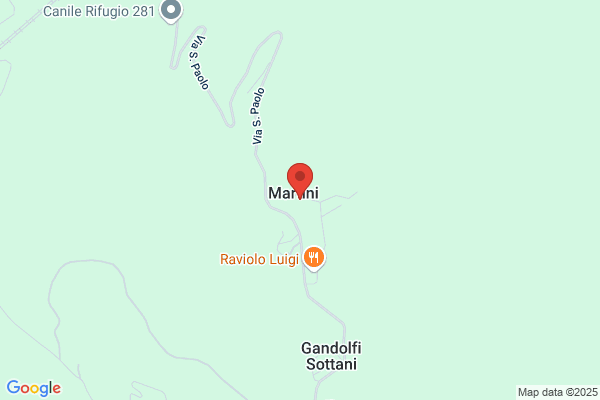 Martini    Nicola