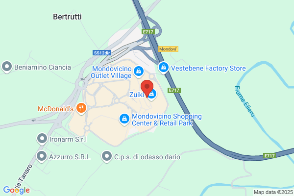 Sanpaolo Imi S.P.A.