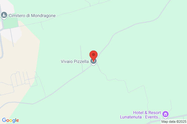 Vivaio Pizzella Srl