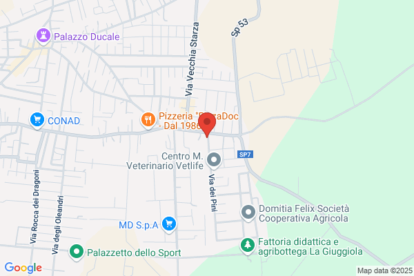 Studio Diagnostico Mondragone