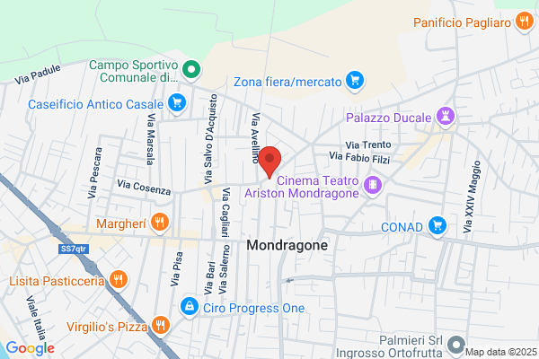 Humanitas Mondragonese Srl