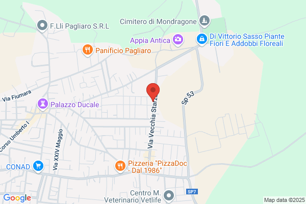 Sinope Furs Srl