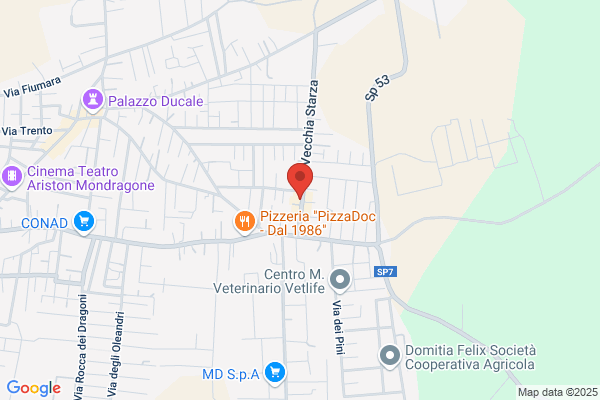 Ristorante Sisina Sapori Di Spinosa Orazio