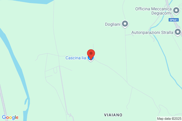 Camia Luca Legna da Ardere