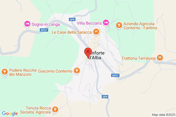 Municipio