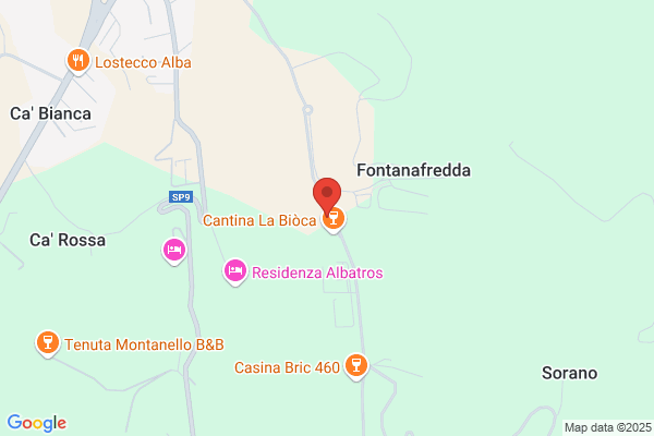 Pressenda claudio