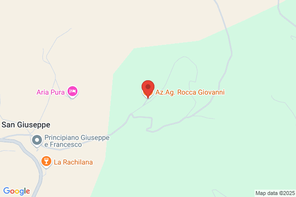 Viglione giovanni
