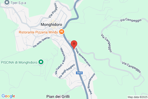 Vigili Del Fuoco